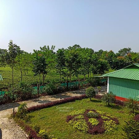 Grasshopper Jungle Queen Resort Chalsa Bagian luar foto