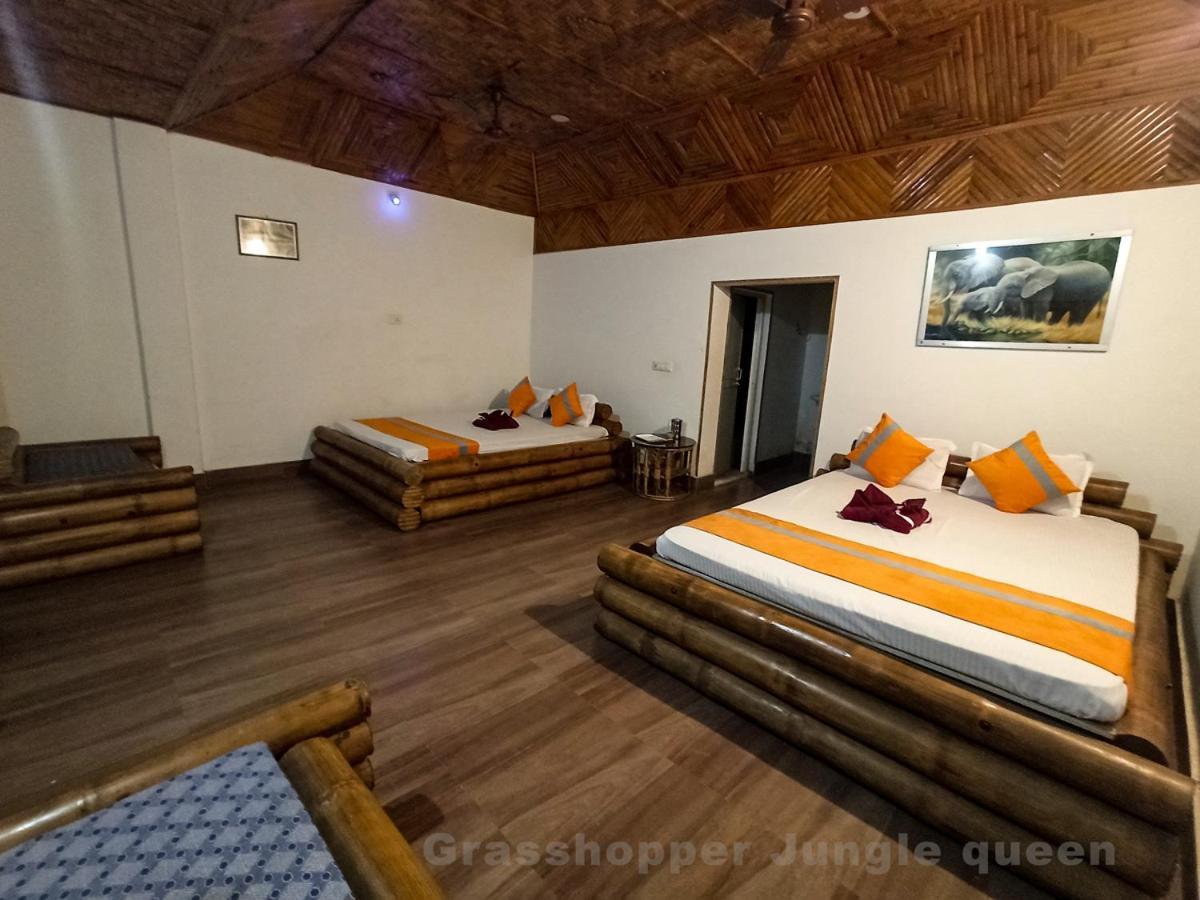 Grasshopper Jungle Queen Resort Chalsa Bagian luar foto