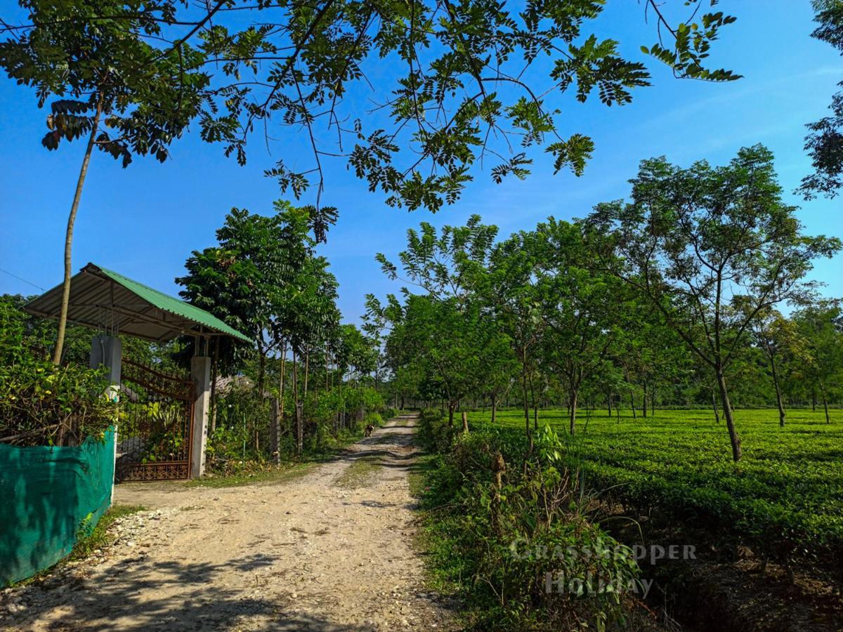 Grasshopper Jungle Queen Resort Chalsa Bagian luar foto
