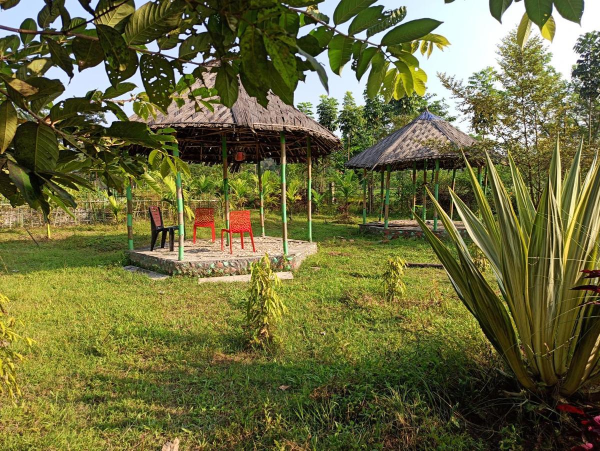 Grasshopper Jungle Queen Resort Chalsa Bagian luar foto