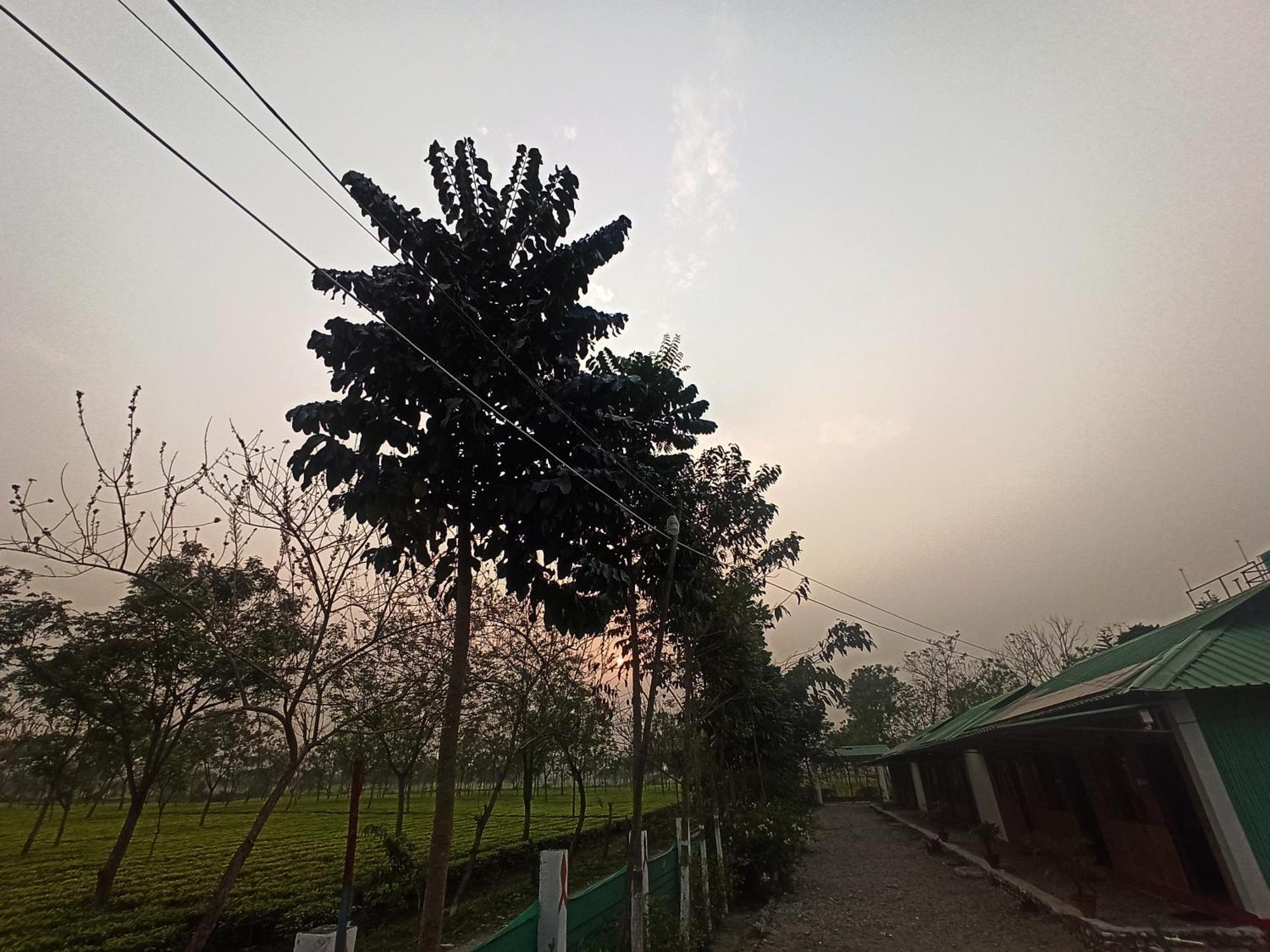 Grasshopper Jungle Queen Resort Chalsa Bagian luar foto