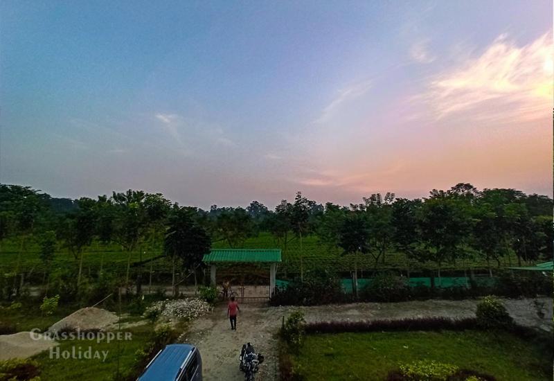 Grasshopper Jungle Queen Resort Chalsa Bagian luar foto