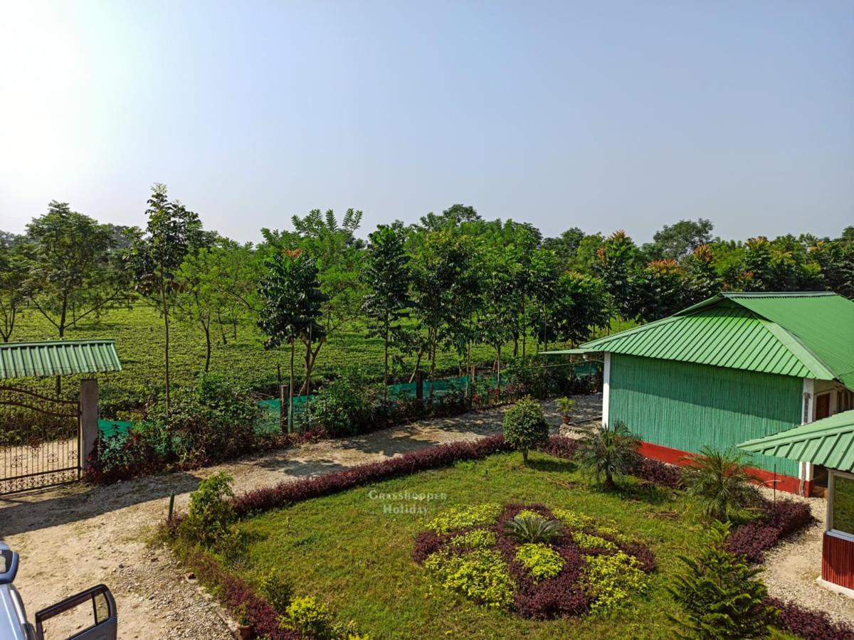 Grasshopper Jungle Queen Resort Chalsa Bagian luar foto