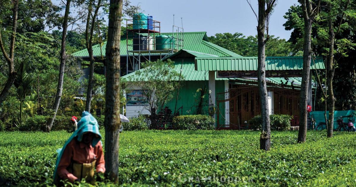 Grasshopper Jungle Queen Resort Chalsa Bagian luar foto